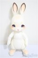 画像: cocoriang/tobi/BJD　球体関節人形 A-25-07-23-288-NY-ZA