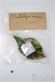 画像1: cocoriang/OF:小物/0 A-25-07-23-395-NY-ZA (1)