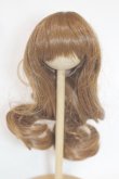 画像1: 8-9inch/ウィッグ/インチ　BJD　MJD　ドール用 A-25-08-06-066-NY-ZA (1)