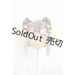 画像: SD/OF:小物/1/3　60ｃｍ　BJD　MJD　衣装　ドール用 A-25-07-23-321-TO-ZA