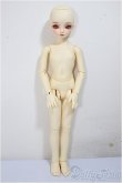 画像6: SDM/スタンダードモデル/BJD　球体関節人形 A-25-08-06-149-TO-ZA (6)