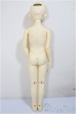 画像7: SDM/スタンダードモデル/BJD　球体関節人形 A-25-08-06-149-TO-ZA (7)