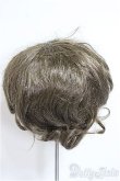 画像2: 8-9inch/ウィッグ/インチ　BJD　MJD　ドール用 A-25-07-23-316-TO-ZA (2)