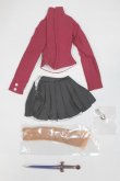 画像2: DD/OF:遠坂凛 Ver.2　衣装/0 A-25-08-06-051-NY-ZA (2)