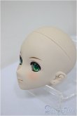 画像3: DD/渋谷凛 シンデレラプロジェクト Ver ヘッド /BJD　球体関節人形 A-25-07-30-261-NY-ZA (3)