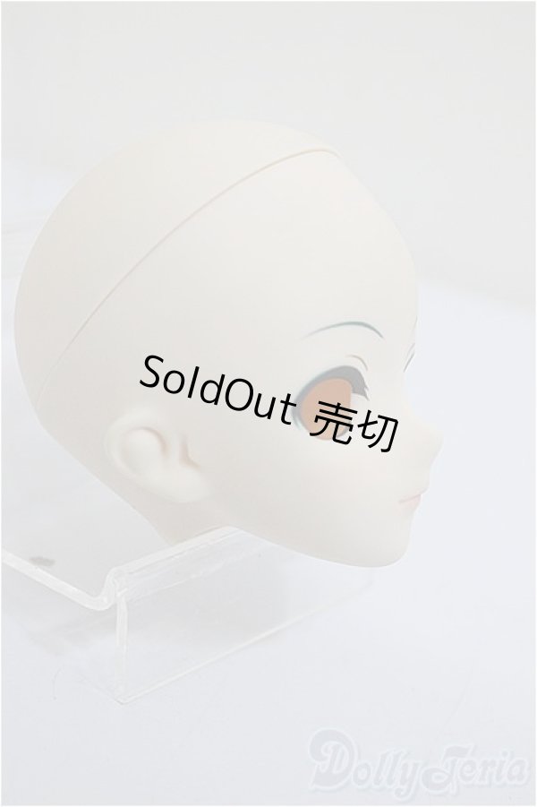 画像2: DD/初音ミク:ヘッド/BJD　球体関節人形 A-25-07-30-260-NY-ZA (2)