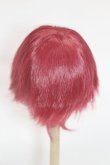 画像2: 8-9inch/ウィッグ/インチ　BJD　MJD　ドール用 A-25-08-06-072-NY-ZA (2)