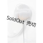 画像: 8-9inch/ウィッグ　みさんとるーぷ 様製/インチ　BJD　MJD　ドール用 A-25-07-30-124-NY-ZA