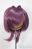 画像1: 8-9inch/ウィッグ　ふにゃほわ様製/0 A-25-07-30-125-NY-ZA (1)