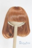 画像1: 6-7inch/ウィッグ　HANNASU製/インチ　BJD　MJD　ドール用 A-25-07-30-014-NY-ZA (1)