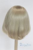 画像2: 6-7inch/ウィッグ/インチ　BJD　MJD　ドール用 A-25-07-30-013-NY-ZA (2)