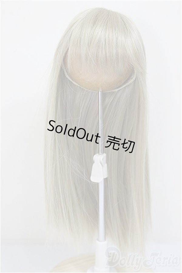 画像1: 9-10inch/ウィッグ/インチ　BJD　MJD　ドール用 A-25-10-29-297-TO-ZA (1)