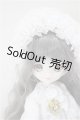 画像: DOLLCE/ミニスウィーツドール:スノーエルダー/ A-25-07-30-295-TO-ZA