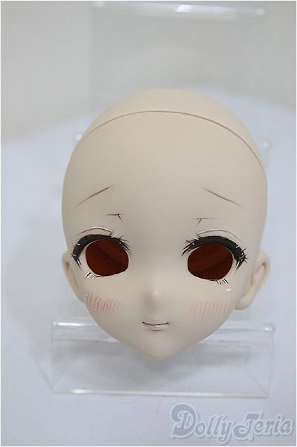 画像1: DDH-10/カスタムヘッド/BJD　球体関節人形 A-25-07-30-262-NY-ZA (1)