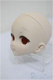 画像3: DDH-10/カスタムヘッド/BJD　球体関節人形 A-25-07-30-262-NY-ZA (3)