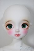 画像1: ChicaBi/Sally/BJD　球体関節人形 A-25-08-06-111-NY-ZA (1)