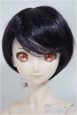 画像1: DDB/ドリームチョイス DC-H-16/BJD　球体関節人形 A-25-08-06-160-TO-ZA (1)