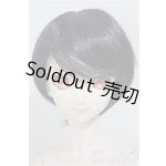 画像: DDB/ドリームチョイス DC-H-16/BJD　球体関節人形 A-25-08-06-160-TO-ZA