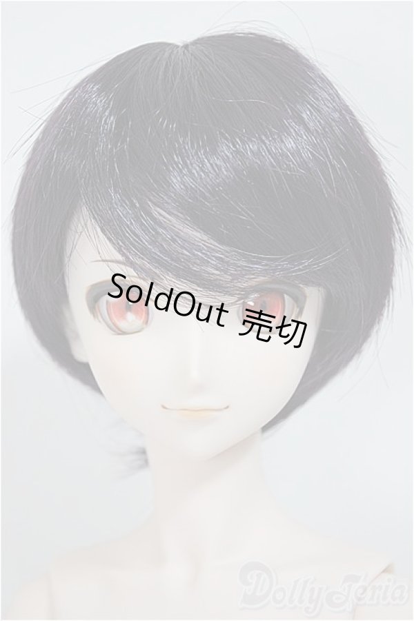 画像1: DDB/ドリームチョイス DC-H-16/BJD　球体関節人形 A-25-08-06-160-TO-ZA (1)