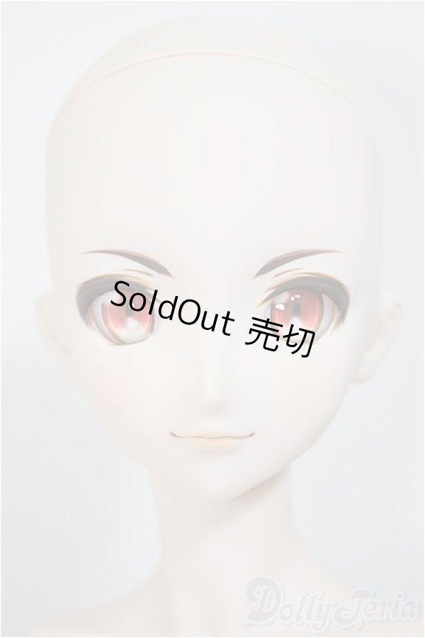 画像2: DDB/ドリームチョイス DC-H-16/BJD　球体関節人形 A-25-08-06-160-TO-ZA (2)