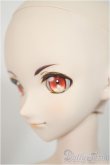 画像4: DDB/ドリームチョイス DC-H-16/BJD　球体関節人形 A-25-08-06-160-TO-ZA (4)