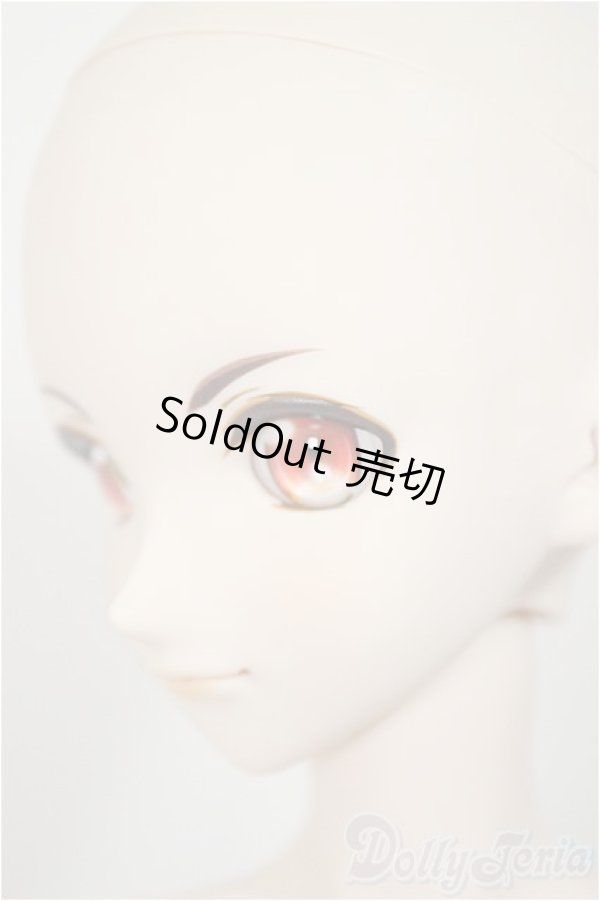 画像4: DDB/ドリームチョイス DC-H-16/BJD　球体関節人形 A-25-08-06-160-TO-ZA (4)