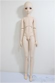 画像5: DDB/ドリームチョイス DC-H-16/BJD　球体関節人形 A-25-08-06-160-TO-ZA (5)