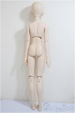 画像6: DDB/ドリームチョイス DC-H-16/BJD　球体関節人形 A-25-08-06-160-TO-ZA (6)