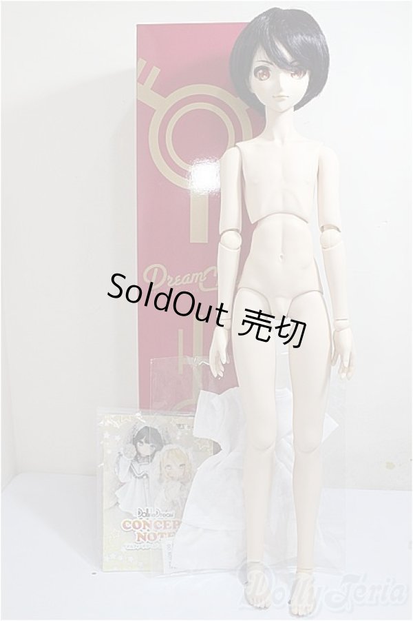 画像7: DDB/ドリームチョイス DC-H-16/BJD　球体関節人形 A-25-08-06-160-TO-ZA (7)