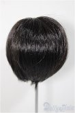 画像2: 8-9inch/ウィッグ/インチ　BJD　MJD　ドール用 A-25-08-06-223-TO-ZA (2)