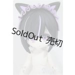 画像: 一万回の脱出計画/ネコ/ A-25-08-06-192-NY-ZA