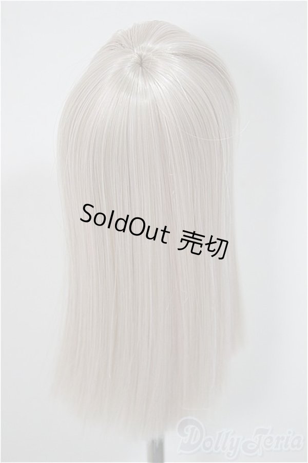 画像2: 4inch/ウィッグ/インチ　BJD　MJD　ドール用 A-25-08-06-234-NY-ZA (2)