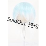 画像: 8-9inch/ウィッグ/インチ　BJD　MJD　ドール用 A-25-08-13-212-NY-ZA