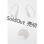 画像: SDM-SD/うさみみ・尻尾/0 A-25-08-13-149-NY-ZA