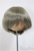 画像1: 8-9inch/ウィッグ/インチ　BJD　MJD　ドール用 A-25-08-13-126-NY-ZA (1)