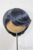 画像1: 8inch/ウィッグ　SWITCH製/インチ　BJD　MJD　ドール用 A-25-08-13-127-NY-ZA (1)