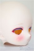 画像2: DDH-01/カスタムヘッド/BJD　球体関節人形 A-25-08-13-204-NY-ZA (2)