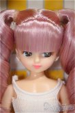 画像1: リカちゃんキャッスル/リカちゃん 2018年度版クリスマスモデル/BJD　球体関節人形 A-25-08-13-106-NY-ZA (1)