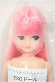 画像1: リカちゃんキャッスル/きらちゃん　ESCドール/BJD　球体関節人形 A-25-08-13-104-NY-ZA (1)