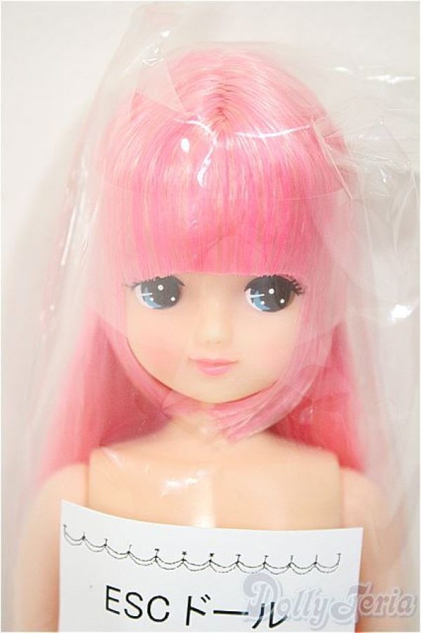 画像1: リカちゃんキャッスル/きらちゃん　ESCドール/BJD　球体関節人形 A-25-08-13-104-NY-ZA (1)