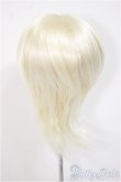 画像2: 9-10inch/ウィッグ/インチ　BJD　MJD　ドール用 A-25-08-13-122-NY-ZA (2)