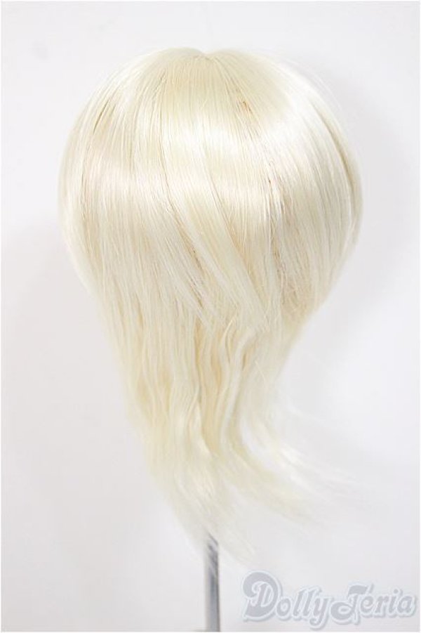 画像2: 9-10inch/ウィッグ/インチ　BJD　MJD　ドール用 A-25-08-13-122-NY-ZA (2)
