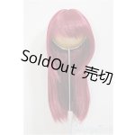 画像: 9inch/ウィッグ(Nemurumori＆LUNA様製)/インチ　BJD　MJD　ドール用 A-25-08-13-173-NY-ZA