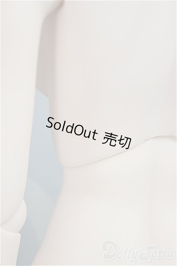 画像3: DDSベースボディ2.0（DD-f3）/セミホワイト/BJD　球体関節人形 A-25-08-13-151-NY-ZA (3)