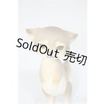 画像: Heaven Monkey様製/ニホンオオカミ/ A-25-08-13-177-NY-ZA