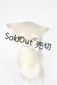 画像: Heaven Monkey様製/ニホンオオカミ/ A-25-08-13-177-NY-ZA