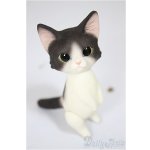 画像: Heaven Monkey様製/ハチワレ/ A-25-08-13-176-NY-ZA