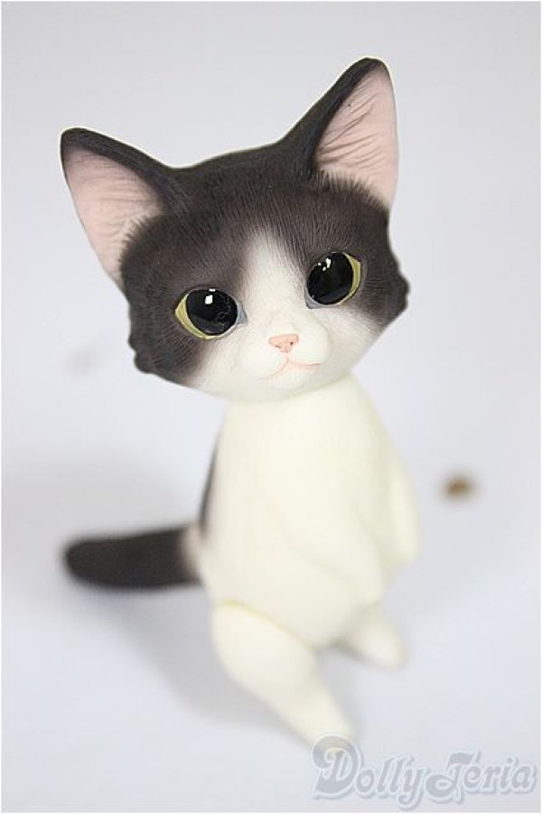 画像1: Heaven Monkey様製/ハチワレ/ A-25-08-13-176-NY-ZA (1)