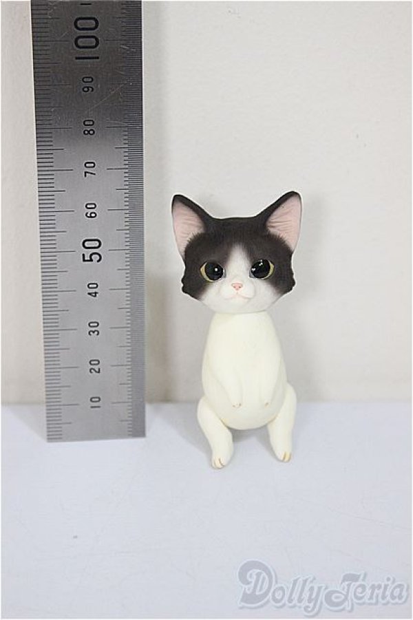 画像2: Heaven Monkey様製/ハチワレ/ A-25-08-13-176-NY-ZA (2)