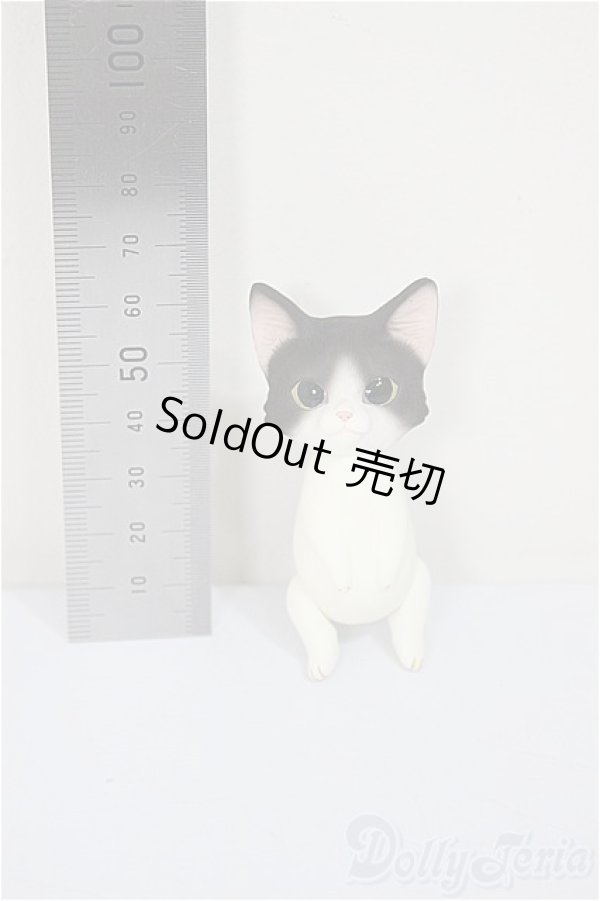 画像2: Heaven Monkey様製/ハチワレ/ A-25-08-13-176-NY-ZA (2)